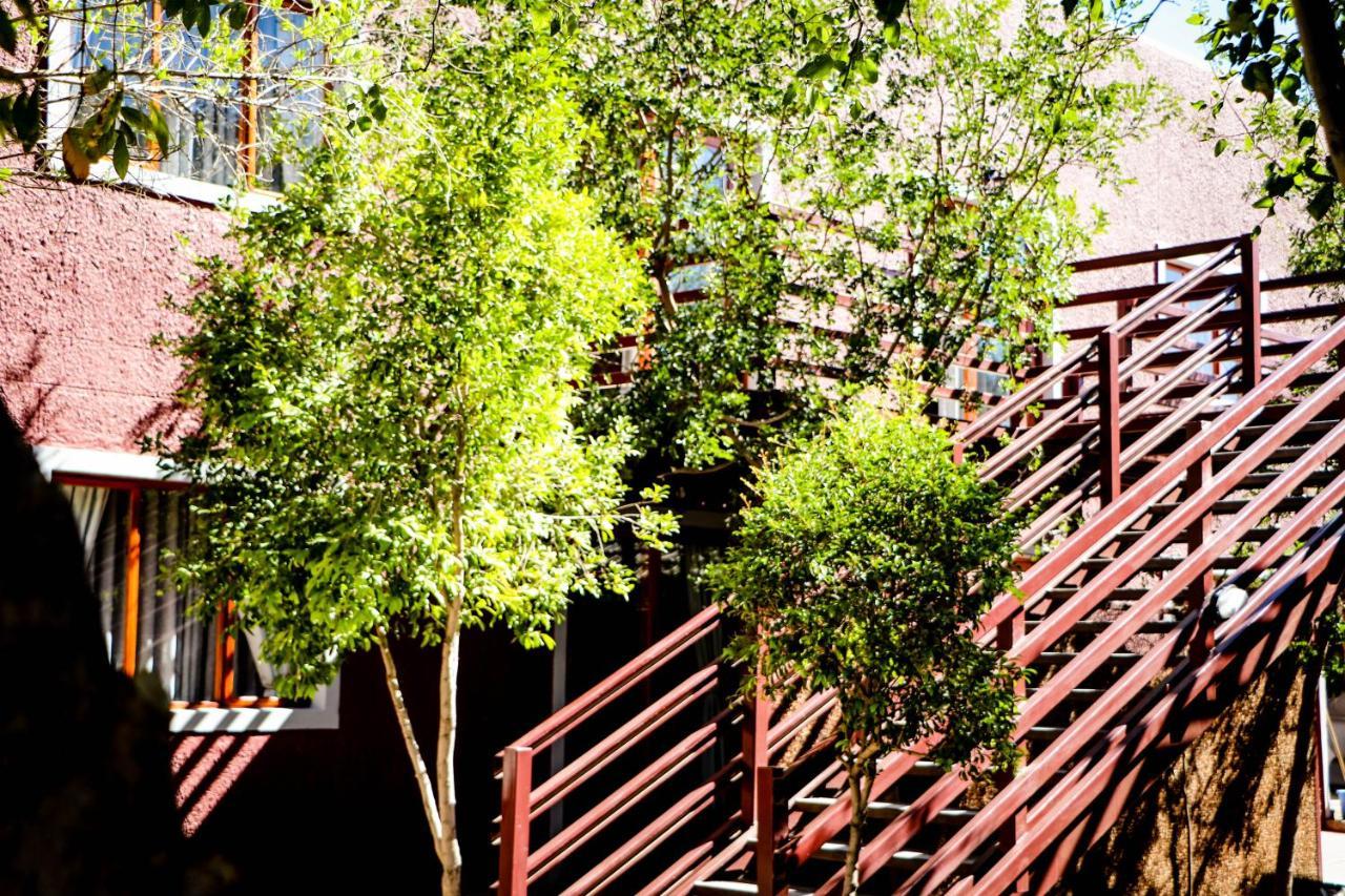 Windhoek Gardens Boutique Hotel Экстерьер фото